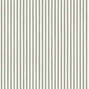 Finn Stripe in Sage