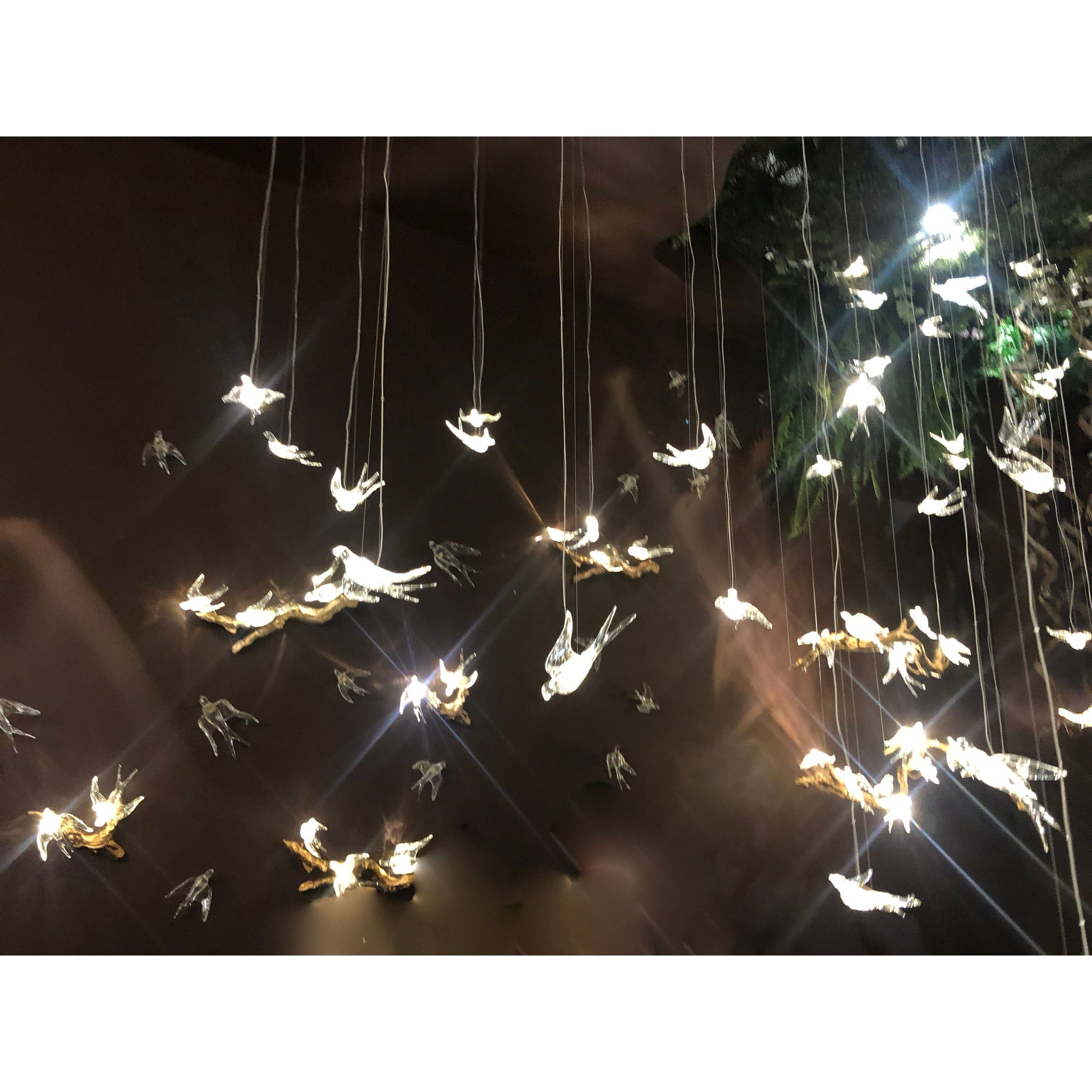 Bird Song Branching Round Teardrop Chandelier - Italian Concept