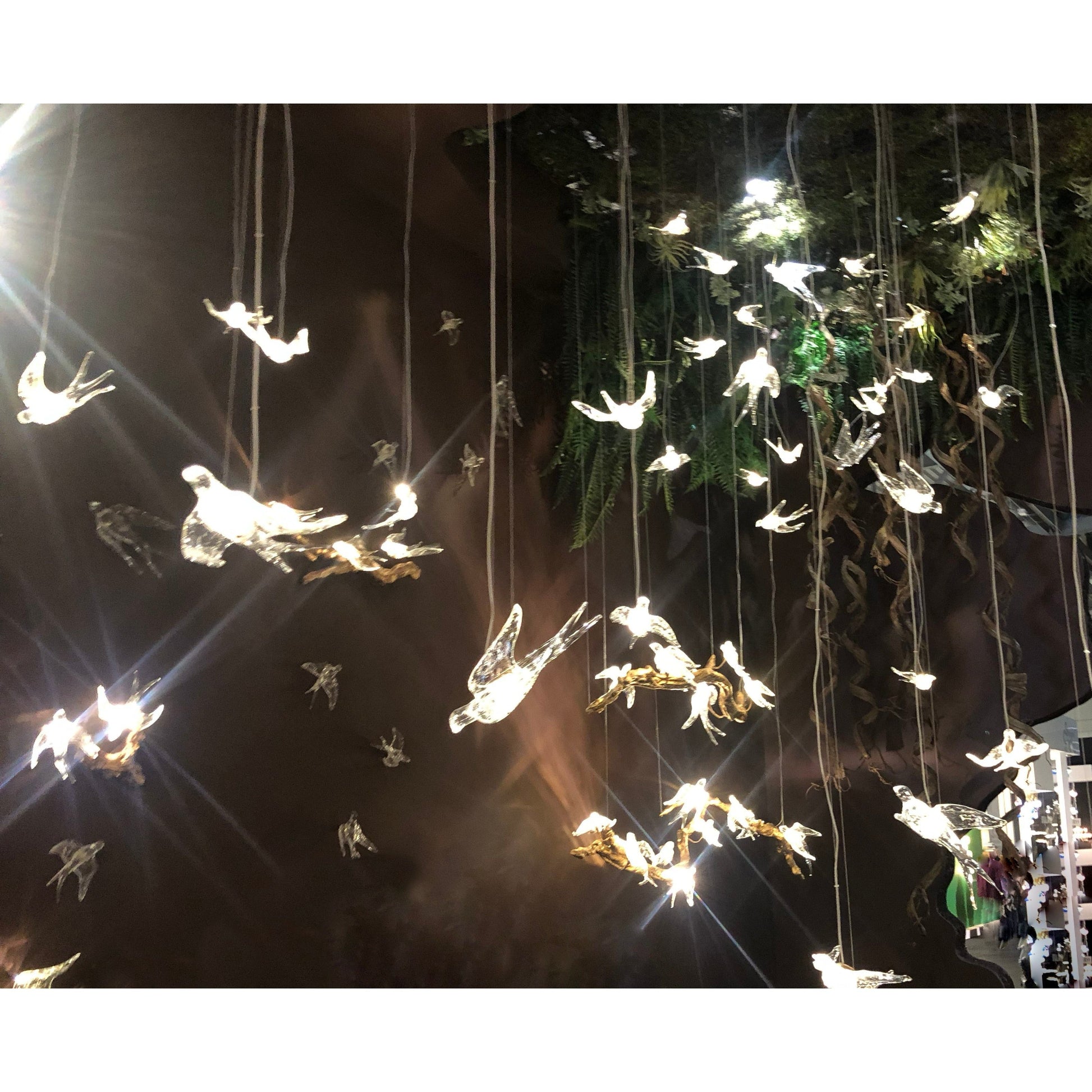 Bird Song Branching Round Teardrop Chandelier - Italian Concept