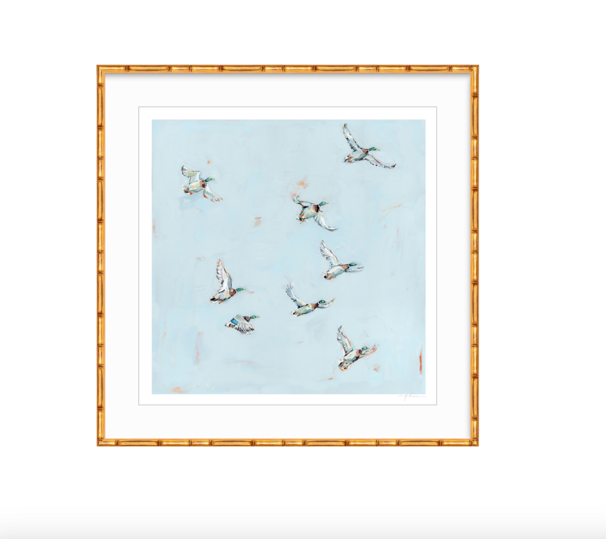 Free Flying Ducks Fine Art Print