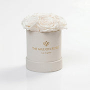 Essence Beige Suede Box | White Roses
