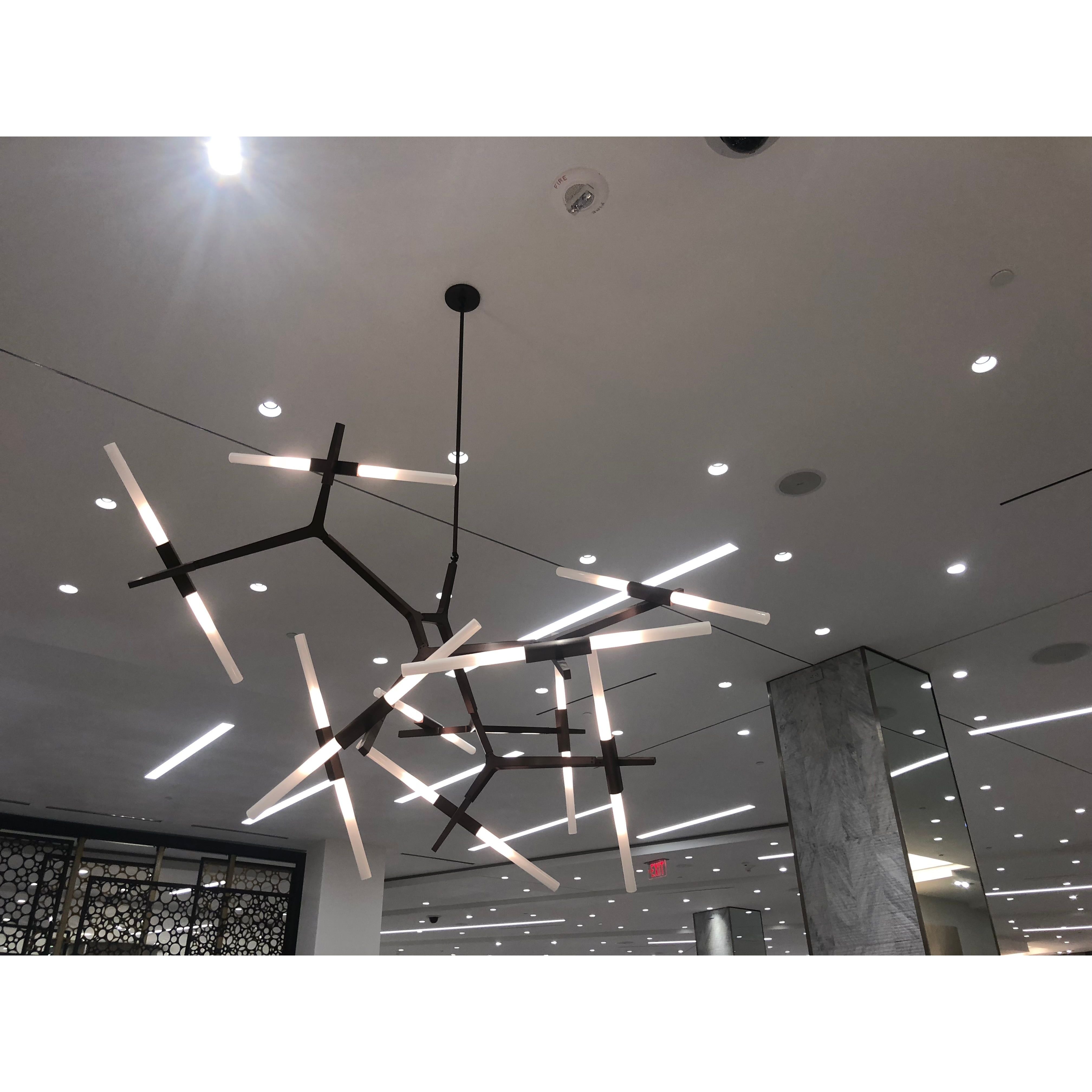 Hudson Branching Glass Cylinder Chandelier - Italian Concept -