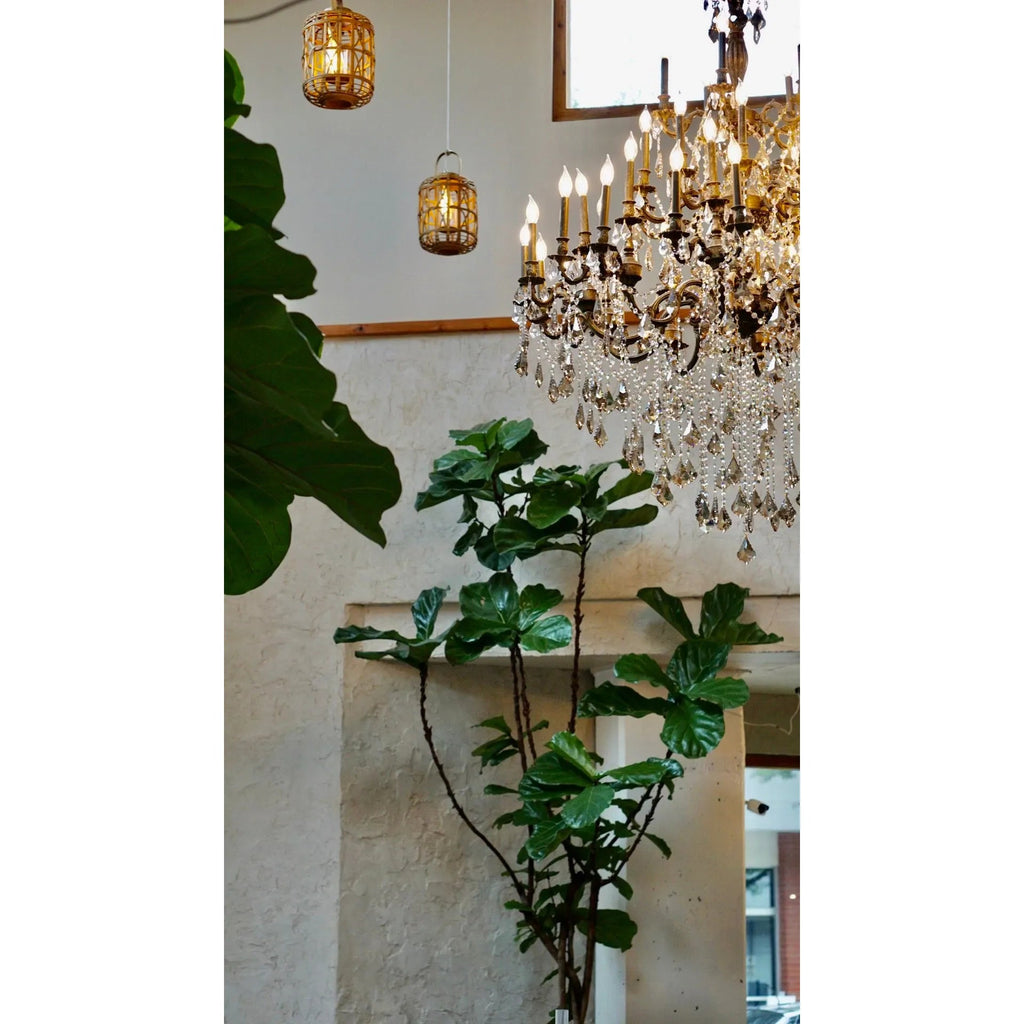 80”w Santa Barbara Crystal Chandelier - Italian Concept