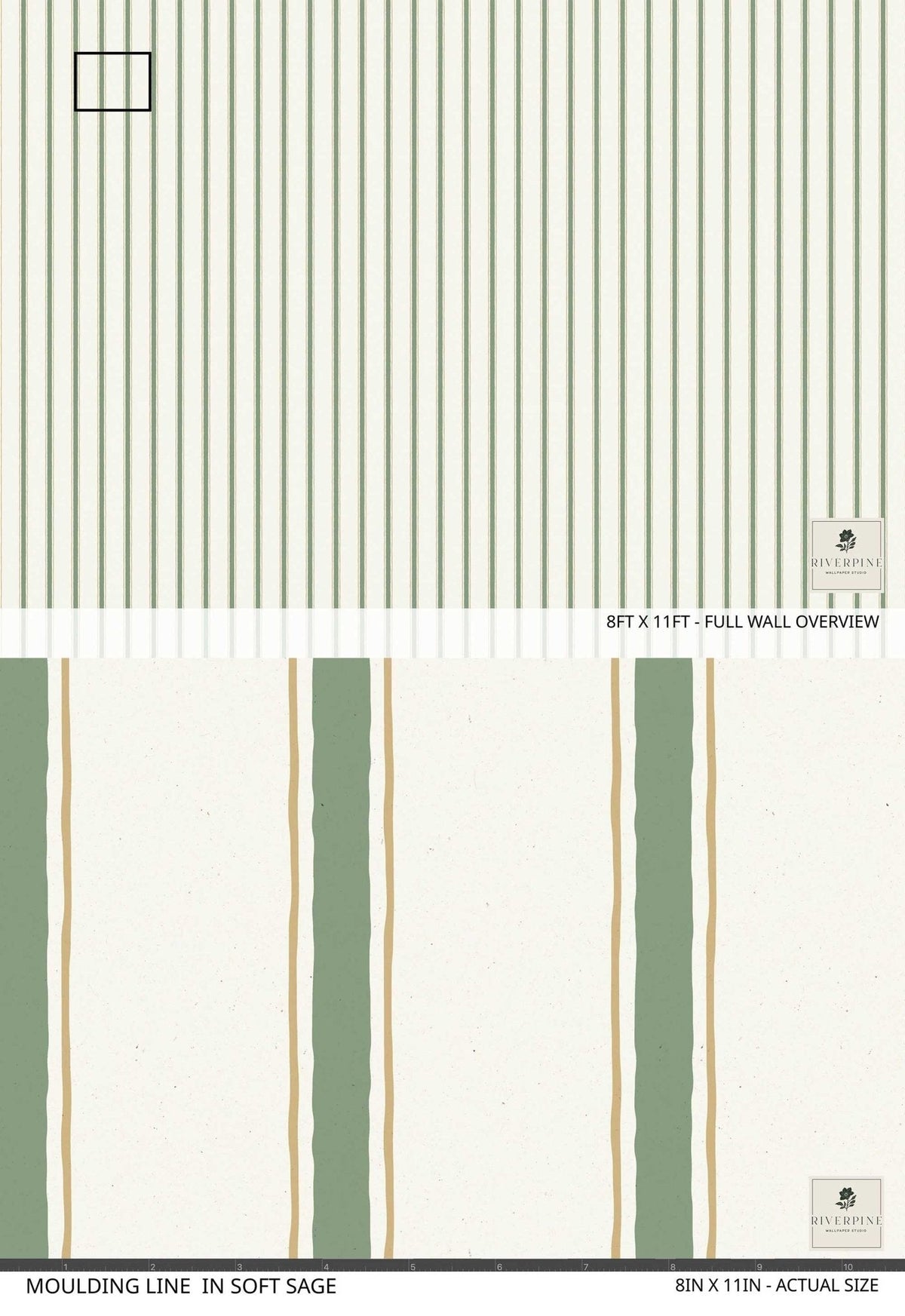 Moulding Line Wallpaper in Soft Sage